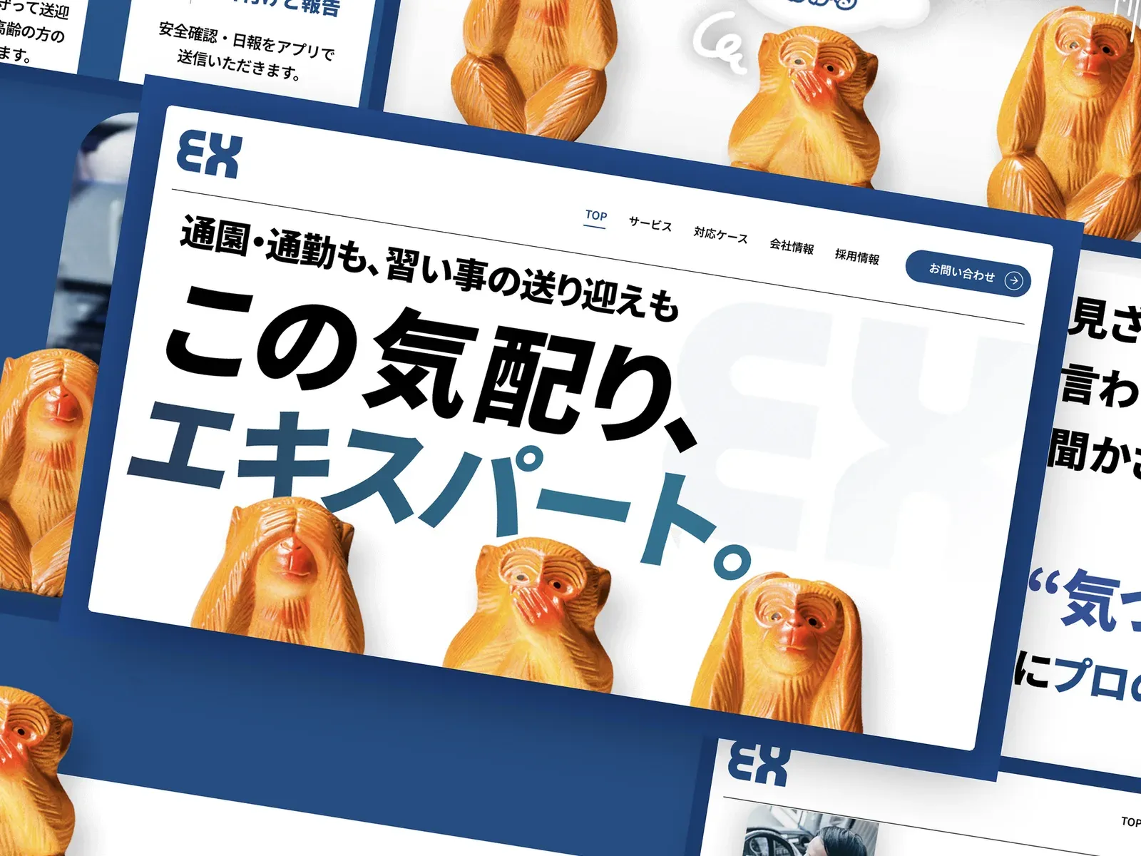 Expert's website on desktop and mobile