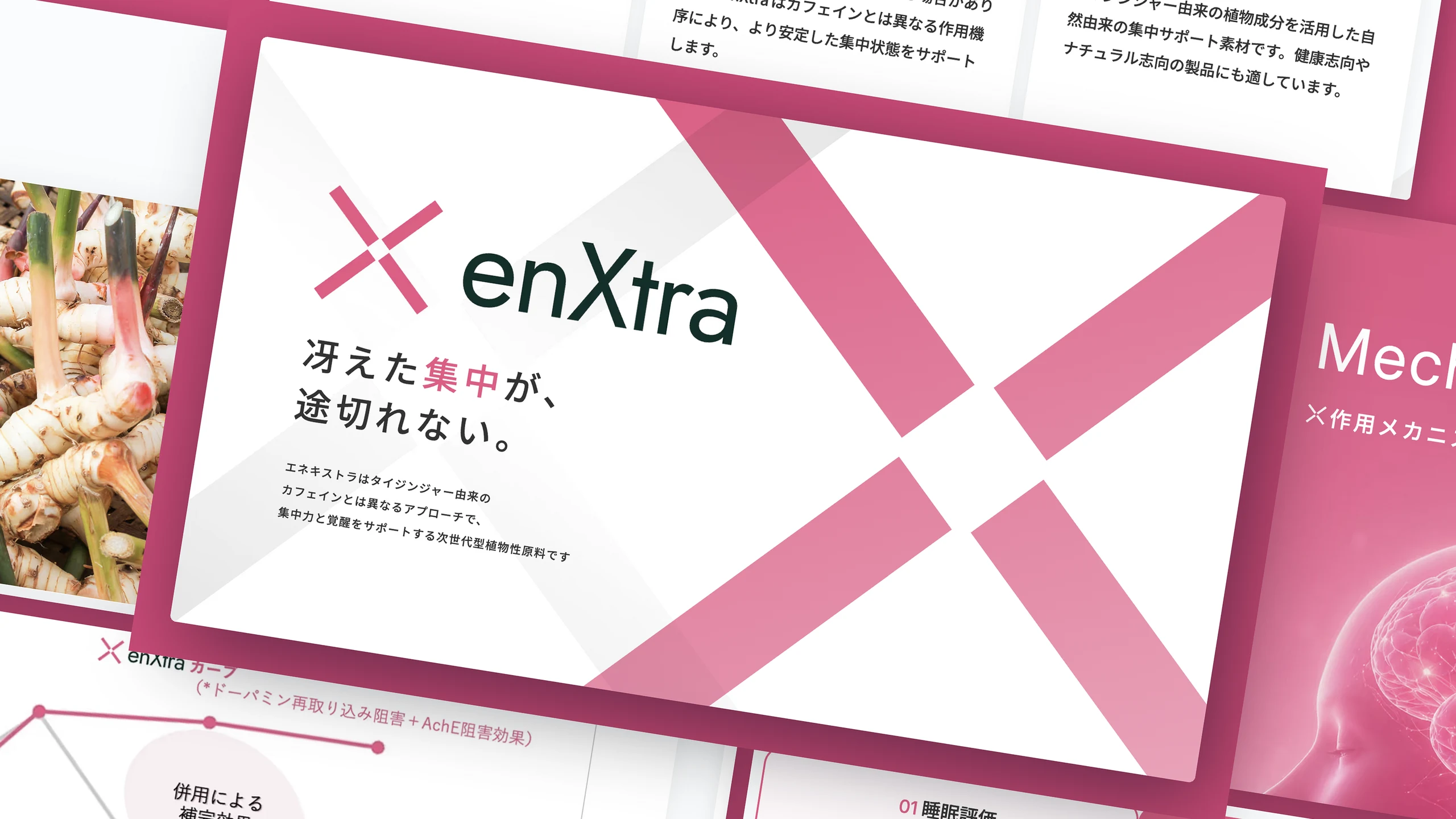 enXtra 原料情報サイト